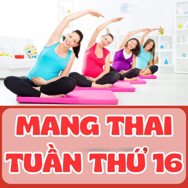 Mẹ bầu tập yoga nhẹ nhàng trong thai kỳ